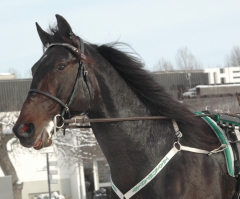 Orecchietti 120216-14